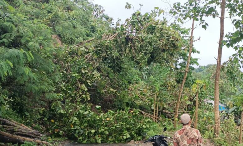 Tebing 20 Meter Longsor, Jalan Penghubung Dua Kecamatan di Cianjur Selatan Terisolir