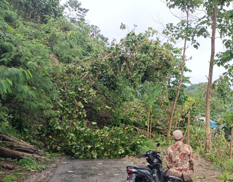 Tebing 20 Meter Longsor, Jalan Penghubung Dua Kecamatan di Cianjur Selatan Terisolir 