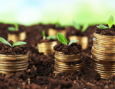 Tetap Aman Berinvestasi di Tahun 2023 dengan 4 Strategi Ini