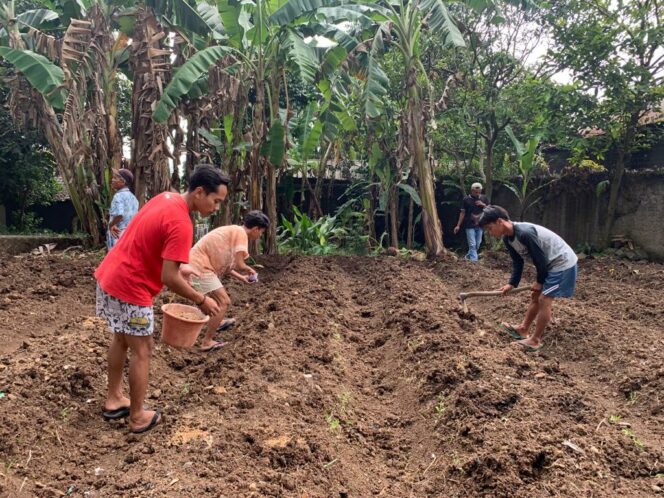 
 BERDAYAKAN: Sejumlah pemuda dan masyarakat di Kampung Pasirnangka manfaatkan lahan kosong menjadi perkebunan. Foto: Istimewa 