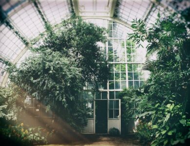 Efek Rumah Kaca: Pengertian, Dampak, Manfaat, dan Cara Mengendalikannya