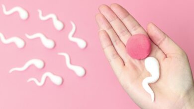 berikut ini yang langsung terbentuk setelah proses fertilisasi adalah