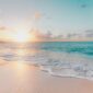 seashore during golden hour