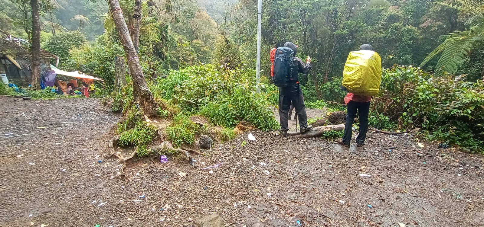 Jalur Pendakian Gunung Gede Pangrango Kembali Dibuka Setelah Penutupan Cuaca Ekstrem