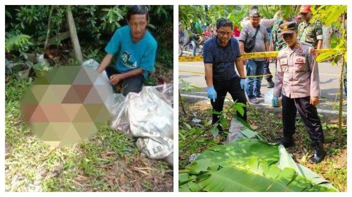 Viral! Seorang Pria ODGJ Mutilasi Tubuh ODGJ Lainnya di Pinggir Jalan, Videonya Ramai Dibahas, Begini Tampangnya!