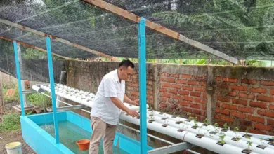 PKBM Nurul Fata Cianjur Kembangkan Akuaponik di Sekolah