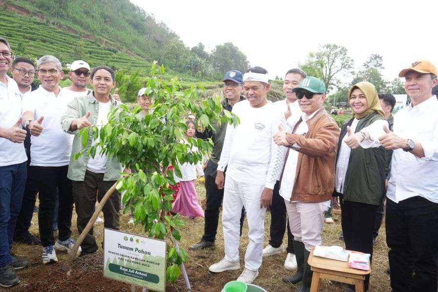 50.000 Pohon Ditanam di Puncak Bogor, Tobat Ekologi Digaungkan Dedi Mulyadi