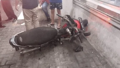 Berkat Info Pelanggan, Saksi Mata Ungkap Detik-detik Pohon Tumbang Timpa Pemudik di Cianjur