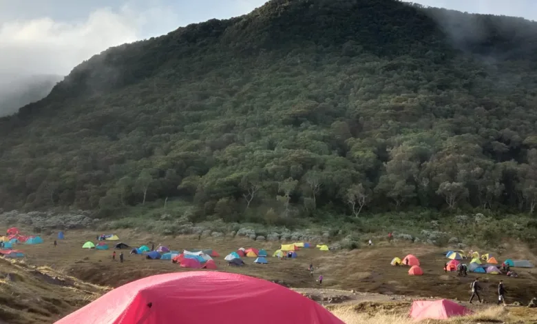Aktivitas vulkanik Gunung Gede Pangrango meningkat, wisatawan diminta menjauhi kawah untuk menghindari bahaya letusan freatik dan gas beracun.