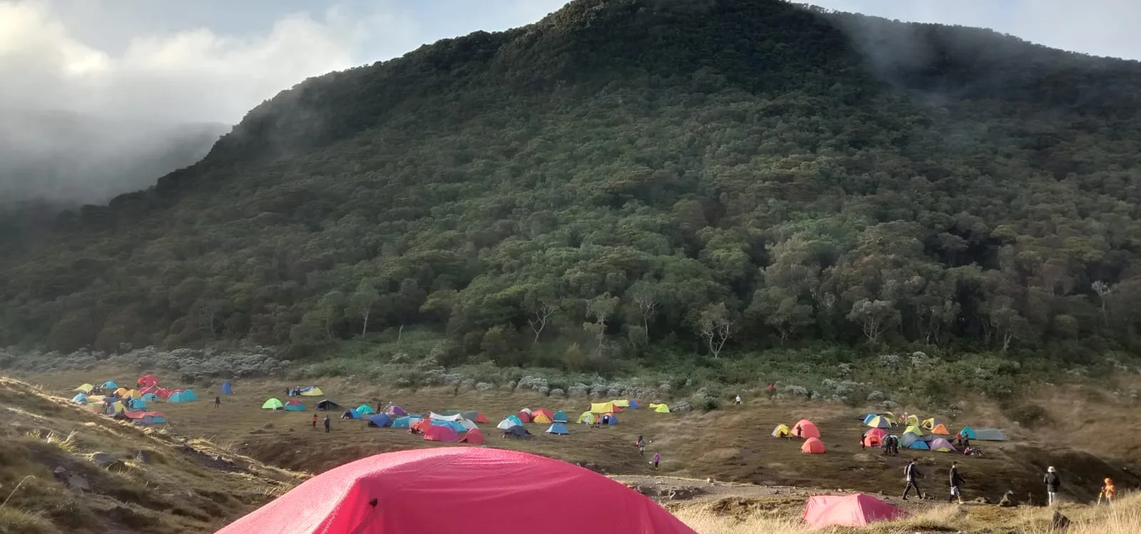 Aktivitas vulkanik Gunung Gede Pangrango meningkat, wisatawan diminta menjauhi kawah untuk menghindari bahaya letusan freatik dan gas beracun.