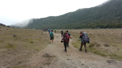 Taman Nasional Gunung Gede Pangrango menutup jalur pendakian sementara akibat peningkatan aktivitas gempa vulkanik.