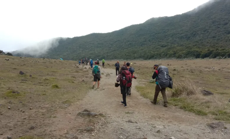 Taman Nasional Gunung Gede Pangrango menutup jalur pendakian sementara akibat peningkatan aktivitas gempa vulkanik.