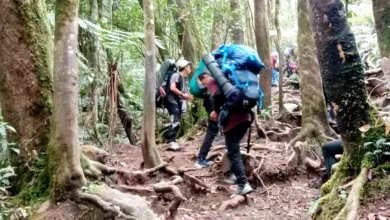 Taman Nasional Gunung Gede Pangrango memperpanjang penutupan pendakian hingga 13 April 2025.