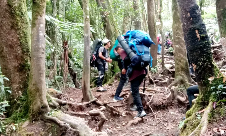 Taman Nasional Gunung Gede Pangrango memperpanjang penutupan pendakian hingga 13 April 2025.