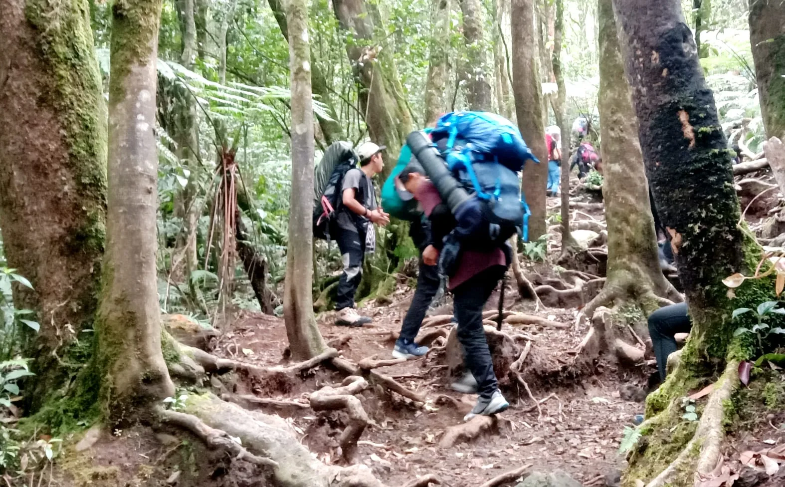 Taman Nasional Gunung Gede Pangrango memperpanjang penutupan pendakian hingga 13 April 2025.