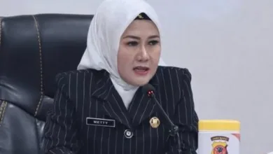 Ketua DPRD Cianjur Metty Triantika Dorong Dinkes Lakukan Langkah Cepat Atasi Kasus Chikungunya di Bojongpicung