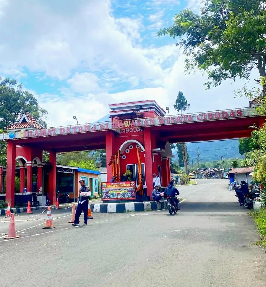 Jumlah kunjungan wisatawan ke Kebun Raya Cibodas turun saat Lebaran 2025 akibat pungutan retribusi ganda.