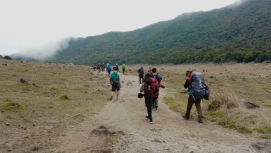 Pendakian Gunung Gede Pangrango (TNGGP) kembali ditutup dan diperpanjang hingga 21 April 2025 akibat aktivitas seismik yang terdeteksi.