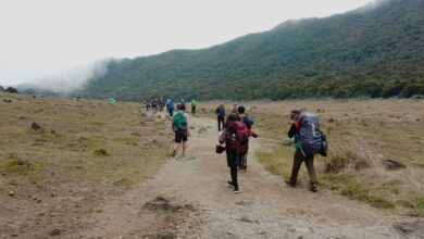 Pendakian Gunung Gede Pangrango (TNGGP) kembali ditutup dan diperpanjang hingga 21 April 2025 akibat aktivitas seismik yang terdeteksi.