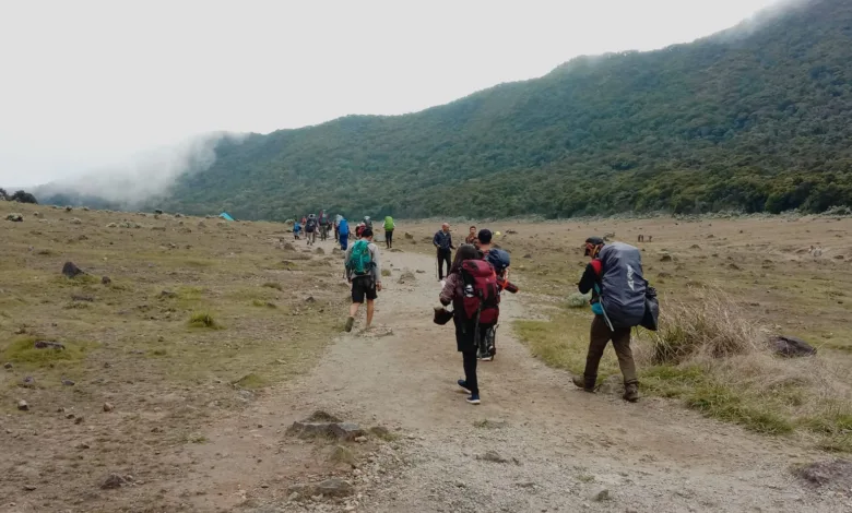 Pendakian Gunung Gede Pangrango (TNGGP) kembali ditutup dan diperpanjang hingga 21 April 2025 akibat aktivitas seismik yang terdeteksi.