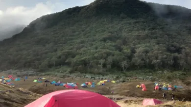 Jalur pendakian Gunung Gede Pangrango resmi dibuka kembali per 22 April 2025 setelah ditutup akibat gempa vulkanik.