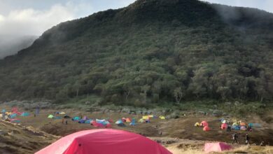 Jalur pendakian Gunung Gede Pangrango resmi dibuka kembali per 22 April 2025 setelah ditutup akibat gempa vulkanik.