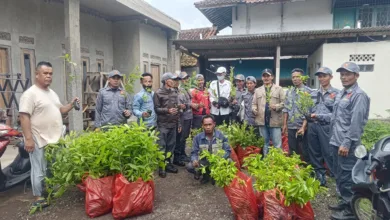 Kepala Desa Sukamulya, Kecamatan Warungkondang, Cianjur, menyalurkan 10 ribu bibit pohon untuk program penghijauan dan pencegahan bencana alam di wilayahnya.