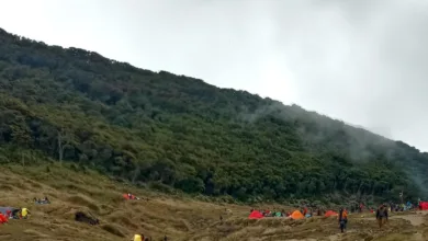 Penutupan jalur pendakian Gunung Gede Pangrango diperpanjang hingga 13 April 2025 karena adanya aktivitas sismik di kawah.