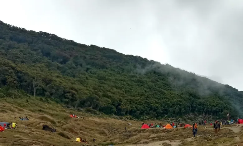 Penutupan jalur pendakian Gunung Gede Pangrango diperpanjang hingga 13 April 2025 karena adanya aktivitas sismik di kawah.