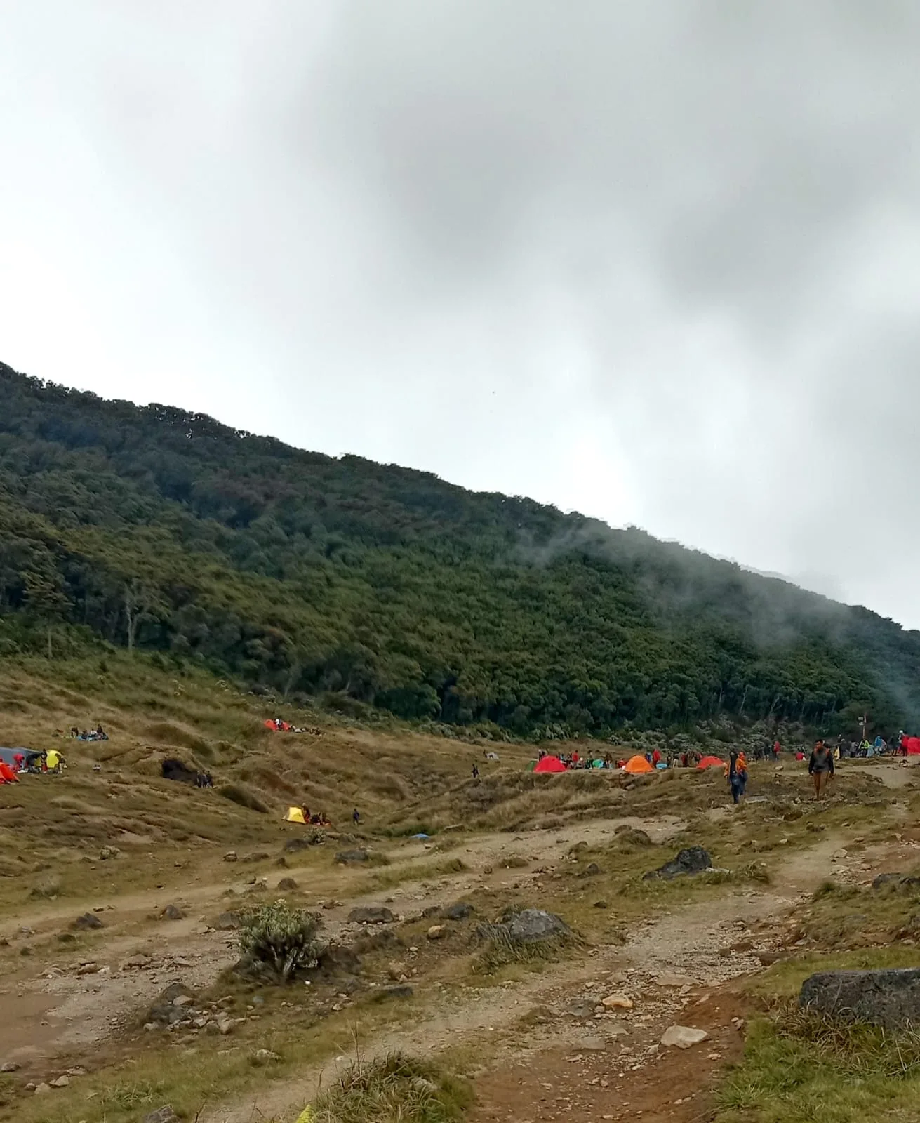 Penutupan jalur pendakian Gunung Gede Pangrango diperpanjang hingga 13 April 2025 karena adanya aktivitas sismik di kawah.