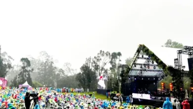 Sunset di Kebun 2025 di Kebun Raya Cibodas hadir dengan musik intim dari Tulus, Dere, dan lainnya, plus edukasi lingkungan dan budaya lokal.