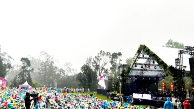 Sunset di Kebun 2025 di Kebun Raya Cibodas hadir dengan musik intim dari Tulus, Dere, dan lainnya, plus edukasi lingkungan dan budaya lokal.