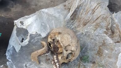 Geger, Warga Temukan Kerangka Diduga Perempuan di Area Bendungan PLTN Cibanteng Cianjur