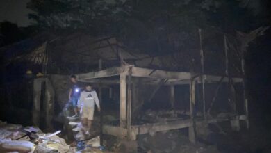 Kebakaran Landa Peternakan Ayam di Cianjur, Ribuan Ekor Ayam Hangus Terpanggang
