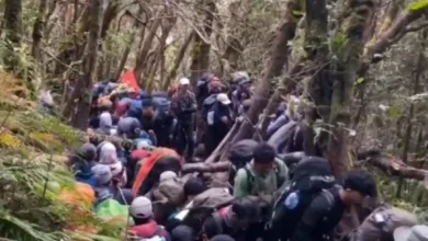 Libur Panjang Picu Kemacetan Pendakian Jalur Gunung Gede, Pendaki Membludak