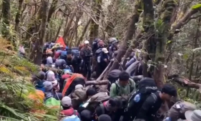 Libur Panjang Picu Kemacetan Pendakian Jalur Gunung Gede, Pendaki Membludak