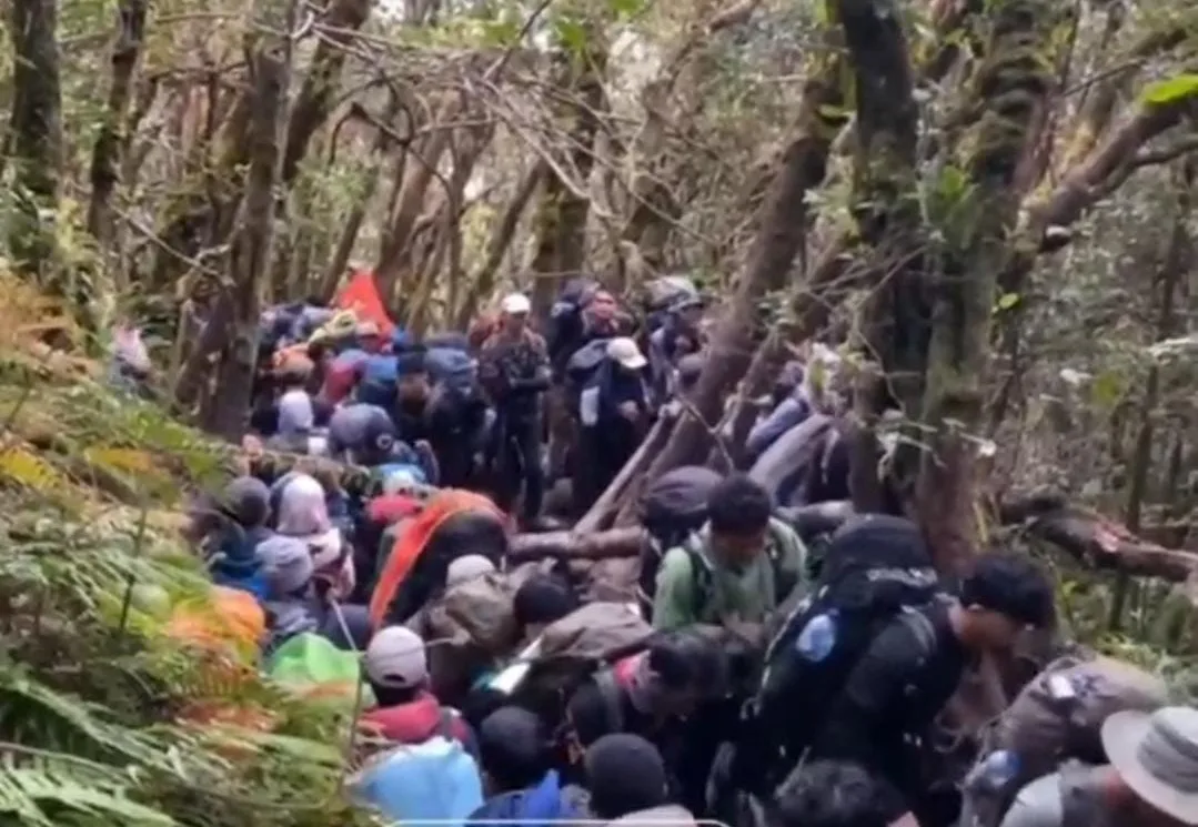 Libur Panjang Picu Kemacetan Pendakian Jalur Gunung Gede, Pendaki Membludak