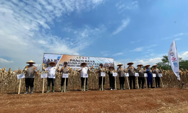 Polri dan FKDB sukses panen jagung hibrida 12,5 ton per hektar di Cianjur, dukung swasembada pangan