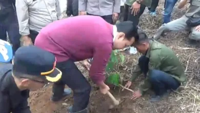 Bupati Cianjur Bersama Ratusan Pegawai P3K Tanam 530 Pohon Durian di Cugenang