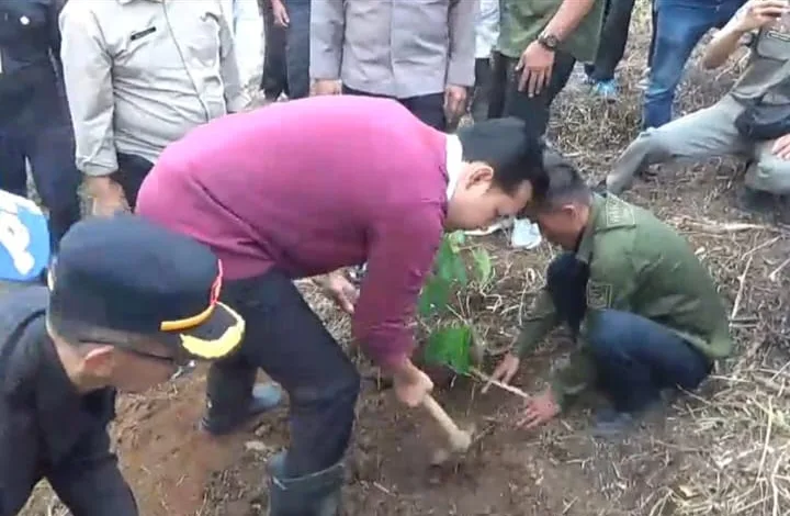 Bupati Cianjur Bersama Ratusan Pegawai P3K Tanam 530 Pohon Durian di Cugenang