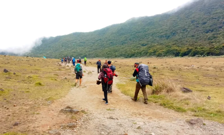 Ribuan Pendaki Ilegal Gunung Gede Pangrango Terjaring Operasi, Sindikat Kupon Palsu Diungkap