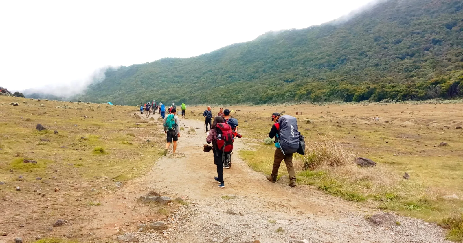 Ribuan Pendaki Ilegal Gunung Gede Pangrango Terjaring Operasi, Sindikat Kupon Palsu Diungkap