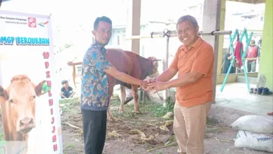 Bentuk Nyata Peduli Warga, PT Daya Mas Geopatra Pangrango Bagikan Hewan Kurban ke Tiga Desa Wilayah Utara