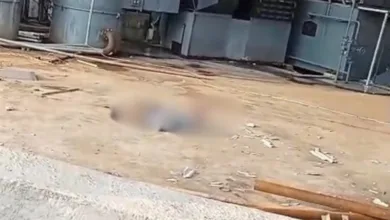 Diduga Tak Gunakan APD, Seorang Pekerja Kontruksi Pabrik Meninggal Usai Terjatuh Saat Pasang Atap di Sukamaju
