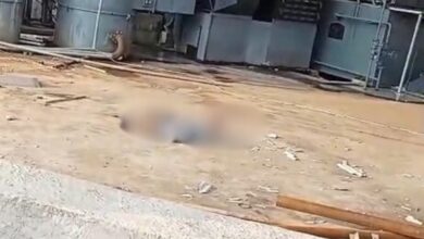 Diduga Tak Gunakan APD, Seorang Pekerja Kontruksi Pabrik Meninggal Usai Terjatuh Saat Pasang Atap di Sukamaju