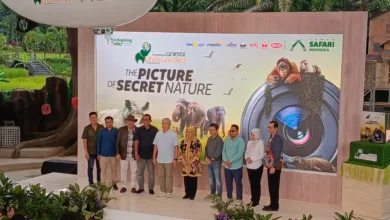 Taman Safari Gelar International Animal Photo & Video Competition ke-34: Eksplorasi Keindahan Alam yang Tersembunyi