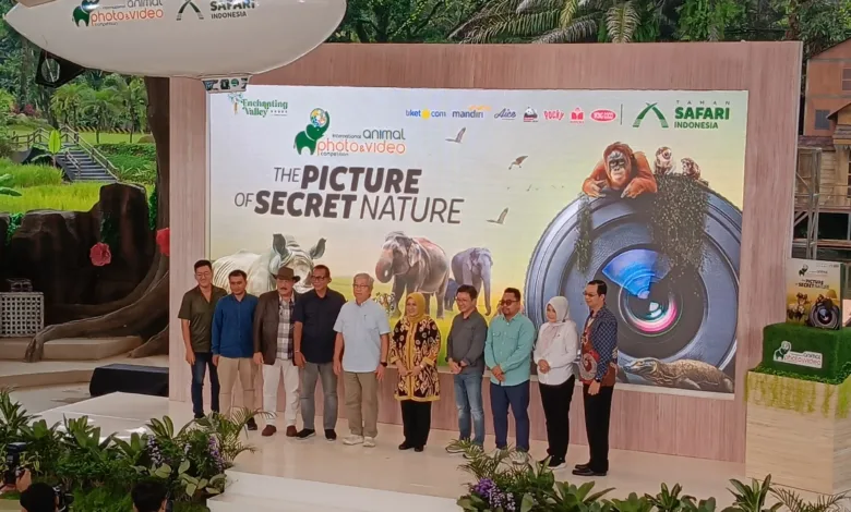 Taman Safari Gelar International Animal Photo & Video Competition ke-34: Eksplorasi Keindahan Alam yang Tersembunyi