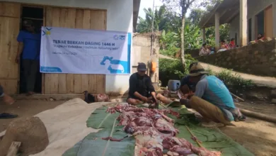 YBM PLN UP3 Cianjur tebar berkah Idul Adha 2025 dengan menyalurkan daging kurban kepada 100 keluarga di Desa Majalaya, Cianjur.