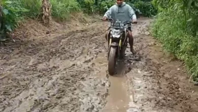 Jalan rusak parah sepanjang 4 km di Desa Neglasari, Agrabinta, menghambat ekonomi dan aktivitas warga.