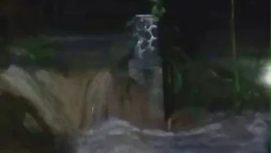 Sungai Cimapag Meluap, Banjir Bandang di Cianjur Hanyutkan Dua Rumah dan Rusak Jembatan